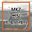 트루모터스