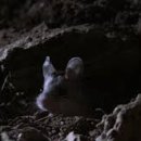 그린헬스 이미지