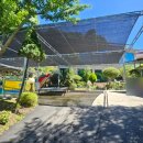 들물 관광 농원 이미지