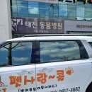 펫사랑 콜 이미지