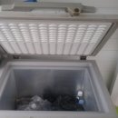 영일1호 이미지