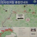 괴산 캠핑장, 괴강관광농원 카라반 후기