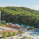 CU 춘천소양강점 | [강원도] “속초물회” 포장해서 “양양 더앤리조트” 패밀리트윈룸 숙박 후기 (애견동반 가능)