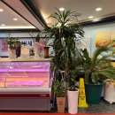 토곡식육식당 | 연산동 소고기집 가족외식 토곡정 한우모듬세트 후기