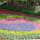 안골농원 이미지