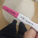 우리가축 인공수정 | [인공수정 2차] 아인병원 인공수정 절차, 증상, 난임 지원금 및 비용, 시험관(체외수정) 상담