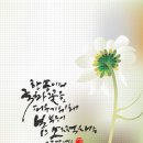 국화옆에서 네이버블로그