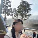 중부-현장-중부-281 | 서울여행 아이랑 엄마랑 가볼만한곳 2층버스투어 내돈내산:: 노랑풍선시티버스
