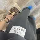 캔디노래연습장 | [롱의학교생활]부산삼육초 1학년 공개수업 이야기