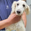 백봉2리마을회관 이미지