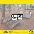 영덕고래불국민야영장 | 영덕 고래불국민야영장 A구역 2박3일 보내고 온 이야기