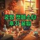 스마트팡 | 2025 궁팡페스티벌 후기: 서울 궁팡 세텍 캣페어 방문 꿀팁과 다양한 고양이 용품!