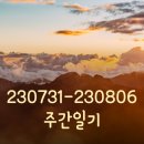 또래오래배곧점 | [체크인 챌린지] 230731 - 230806 주간일기