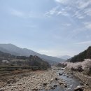 쌍계사