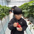 경희대 한결 태권도장 이미지