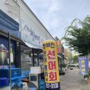 청해진선어회 | [목포 맛집] 청해진선어회