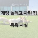 개랑 놀려고 차린 집