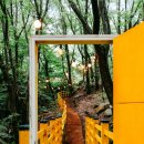 김천물소리생태숲_#2 이미지