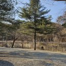 올래 캠핑장 | 가평 계곡에서 놀수있는 또올래캠핑장 후기