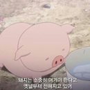 껍데기클라쓰충주