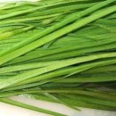 프로핏 피트니스 이미지