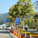 신도안면 야구장 이미지