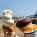 이을목장 | 영종도 자연도 소금빵의 뒤를 이을 요거트 소라빵 요거블랑