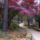 용천(안산) 이미지