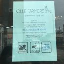 올레파머스월정