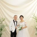 동백꽃사진관 | 광주가족사진잘찍는곳 동백꽃사진관에 다녀온 찐 후기입니다