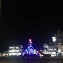 방울풍뎅이 이미지