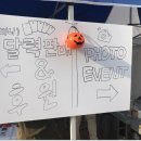 파이리코 이미지