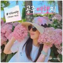 당일 기차여행 갈만한곳 공주 여행 유구색동수국정원 공주한옥마을 착한여행 6952