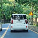 광릉내 애견 이미지