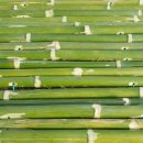 푸른온천목욕탕 이미지