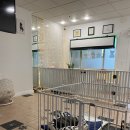 펫 스토리[Pet Story] Daum카페