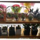 청명원협동조합 이미지