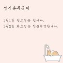 샤워앤독 이미지