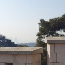 통일로1267번길 이미지