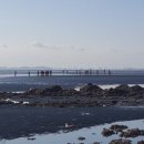 영흥도 갤러리 이미지