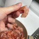 동해시-12 | 동해 애견동반펜션 안녕동해야 A402호 숙소 재방문 후기