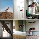 자유롭게저하늘에 이미지