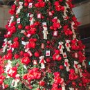 9스테이 | 크리스마스 올데이스테이 9미터 대형 트리 후기 | 춘천 실내데이트 대형카페