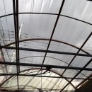 천안셀프세차장 이미지