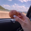 월지카페 | [경주 월지빵]경주 기념품 추천 황리단길 소금빵 맛집 월지빵 방문 후기
