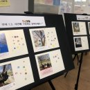 영동중학교 이미지