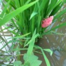 남도마당 이미지