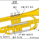 코넷