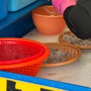 신중앙시장 주차장 공중화장실 | 속초 오징어난전 솔직후기 바다뷰 야장에서 즐기는 오징어회&amp;통찜 | 가격·주차·위치까지(๑ᵔ⤙ᵔ๑)