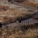 바리스타 교실(야간) 이미지